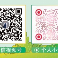 胡柯医生